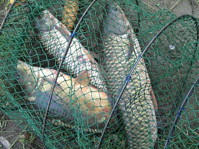 pescuit - 277583_214576941912718_7654683_o.jpg